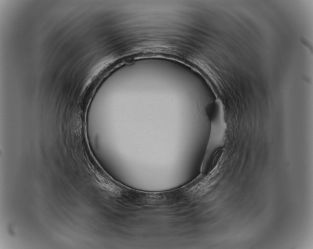 X0000096631115200802191150