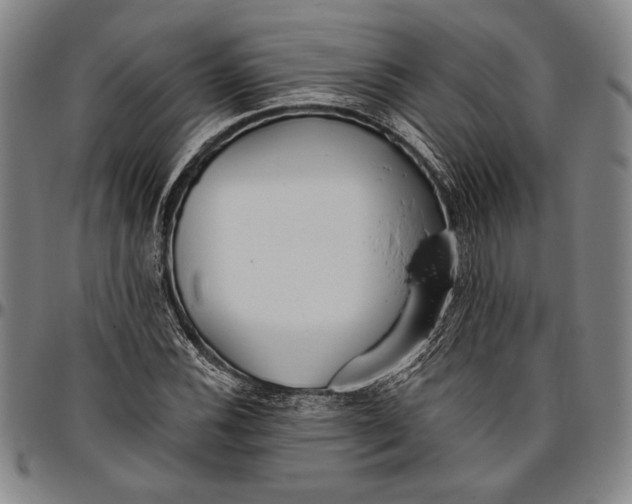 X0000096631116200802191150