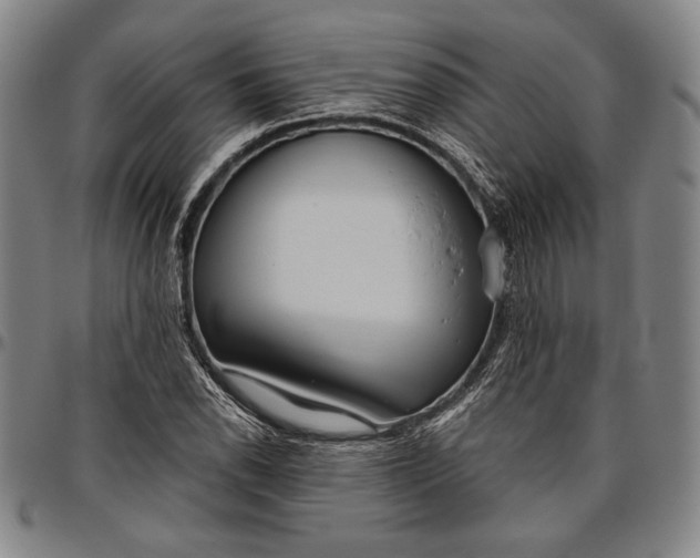 X0000096631118200802191150