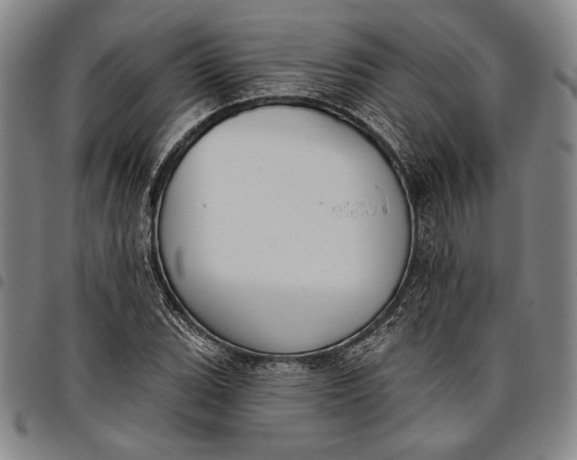 X0000096631119200802191150