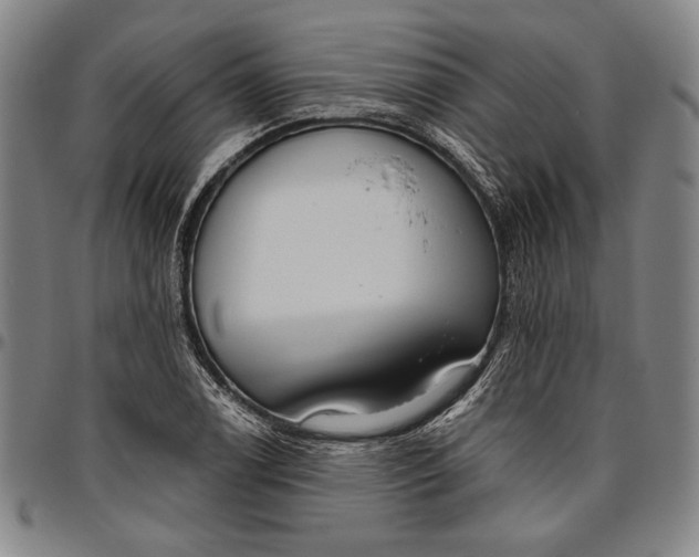 X0000096631122200802191150