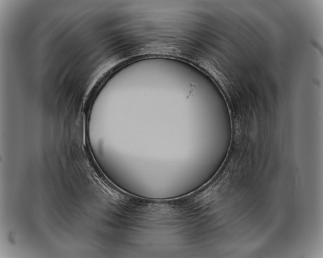X0000096631123200802191150
