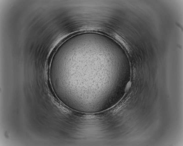 X0000096631124200802191150