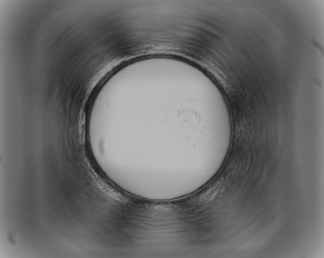 X0000096631126200802191150