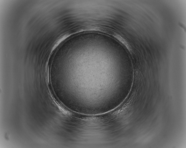 X0000096631127200802191150