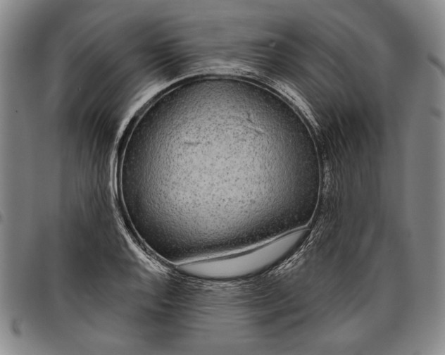 X0000096631128200802191150