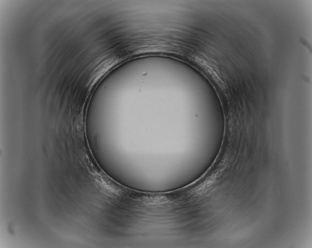 X0000096631129200802191150