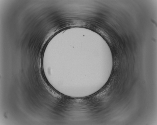 X0000096631130200802191150