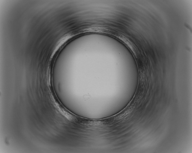 X0000096631131200802191150