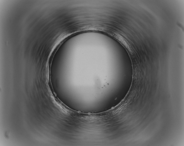 X0000096631132200802191150