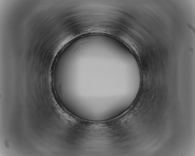 X0000096631133200802191150