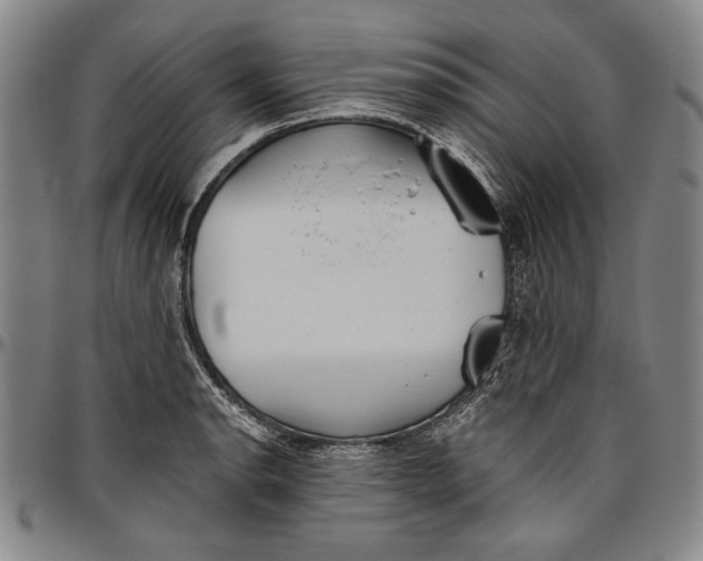 X0000096631134200802191150