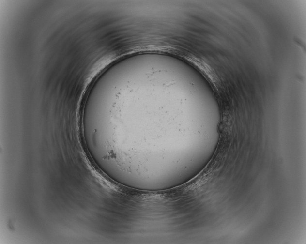 X0000096631135200802191150