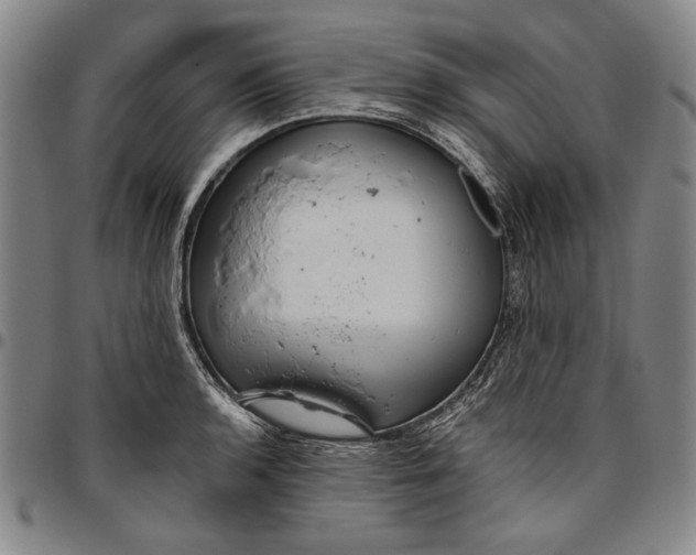 X0000096631136200802191150