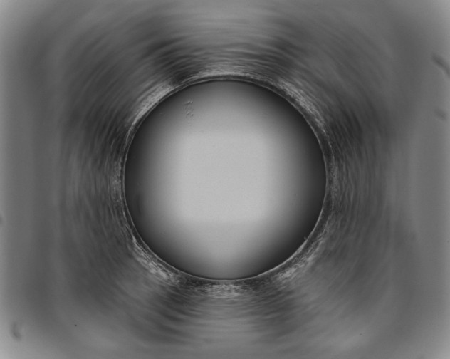 X0000096631137200802191150