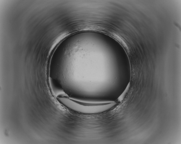 X0000096631138200802191150