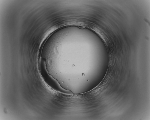 X0000096631139200802191150