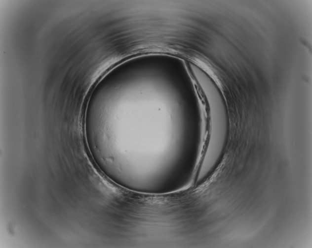 X0000096631141200802191150