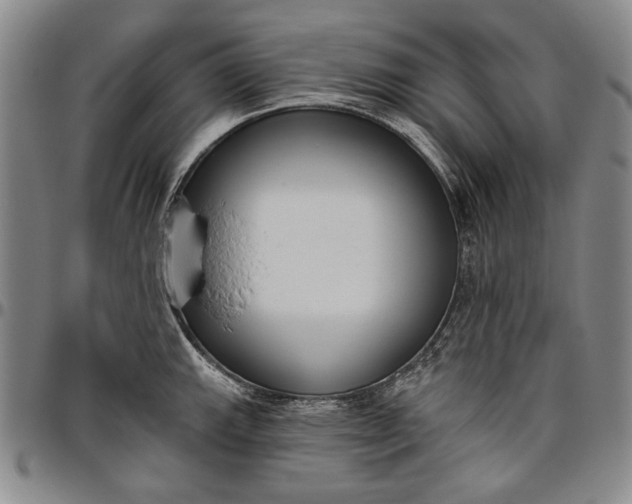 X0000096631143200802191150