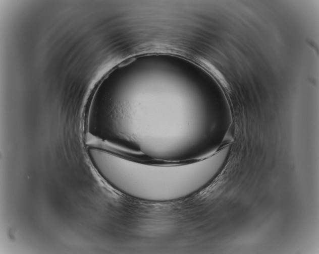 X0000096631144200802191150