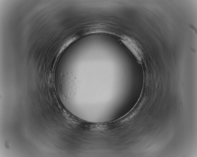 X0000096631145200802191150