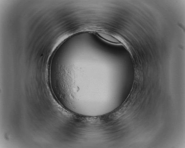 X0000096631147200802191150