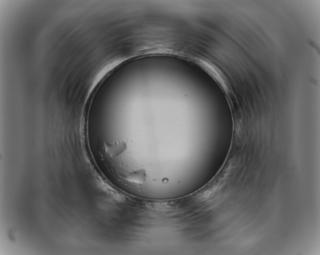 X0000096631149200802191150
