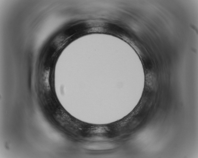 X0000096631150200802191150