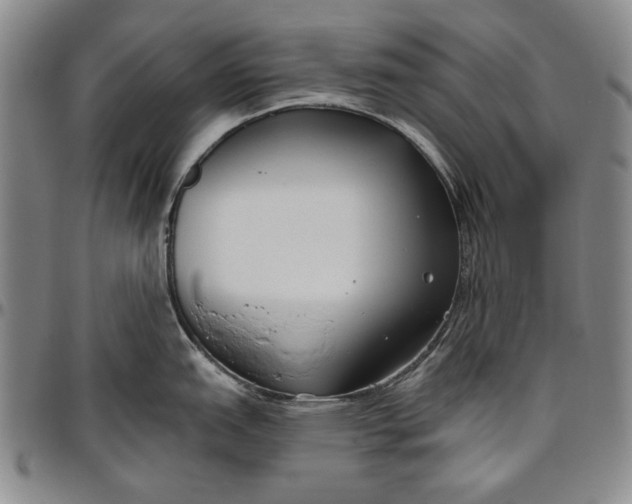 X0000096631151200802191150