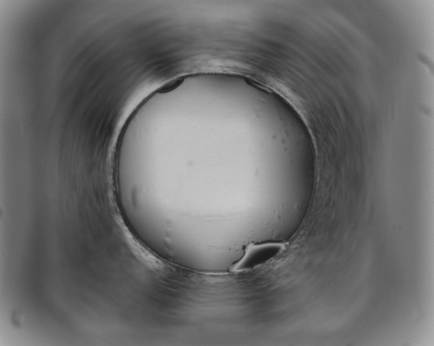 X0000096631152200802191150