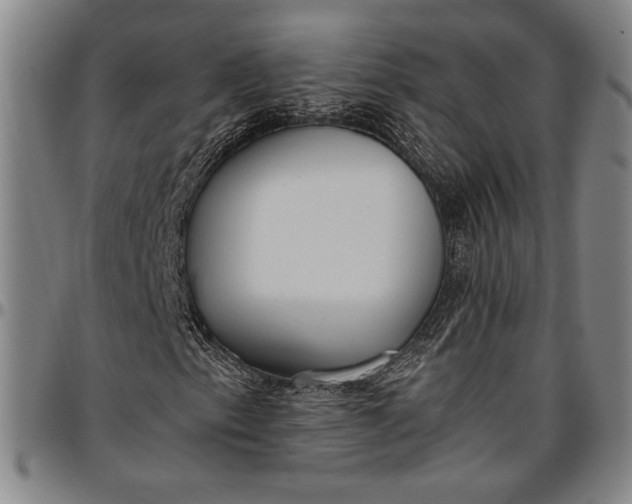 X0000096631153200802191150