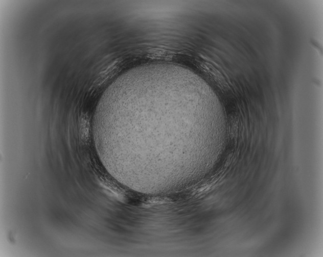 X0000096631154200802191150