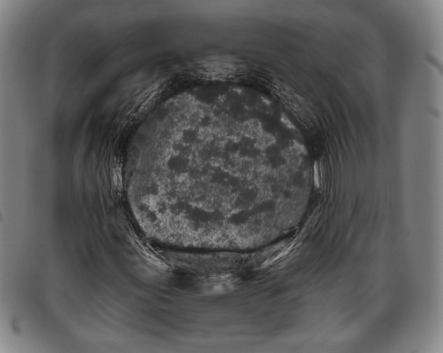 X0000096631155200802191150
