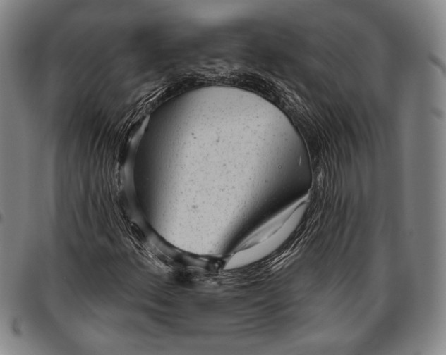 X0000096631156200802191150
