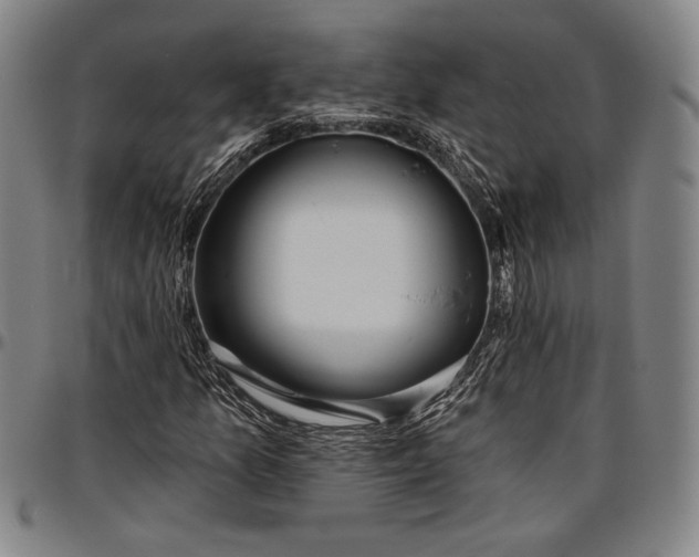 X0000096631157200802191150