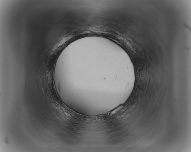 X0000096631159200802191150