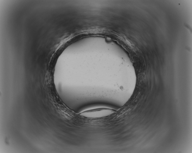 X0000096631160200802191150