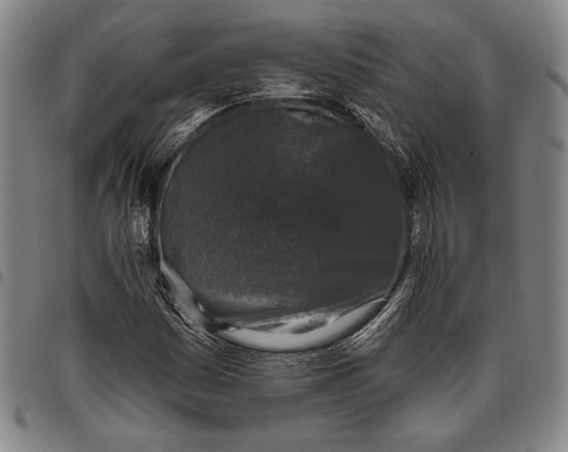 X0000096631161200802191150