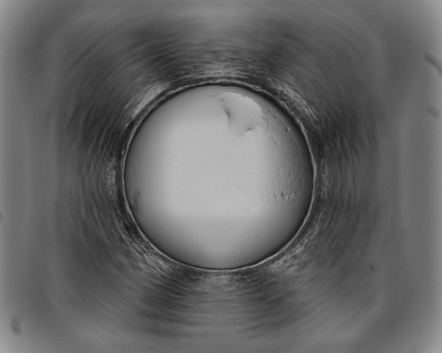 X0000096631162200802191150