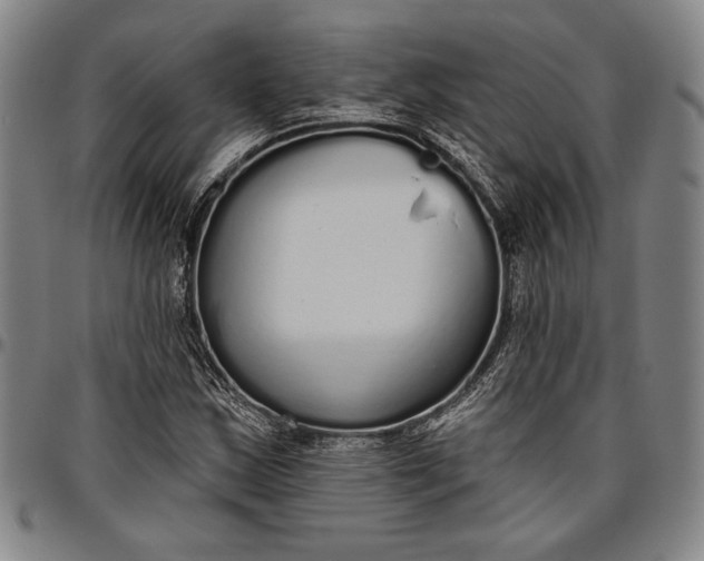 X0000096631163200802191150