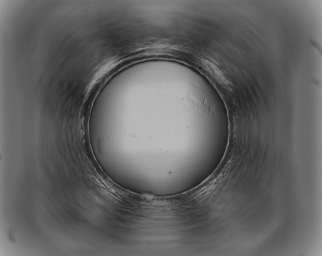 X0000096631164200802191149