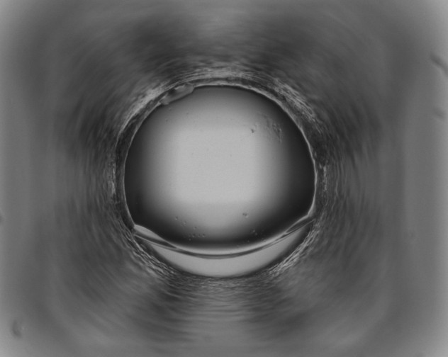 X0000096631165200802191149