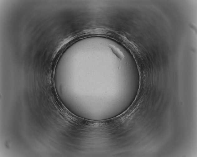 X0000096631166200802191149