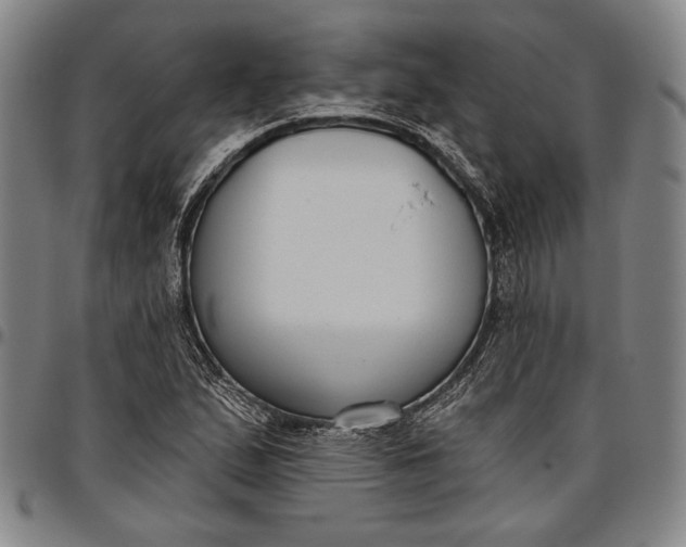 X0000096631167200802191149