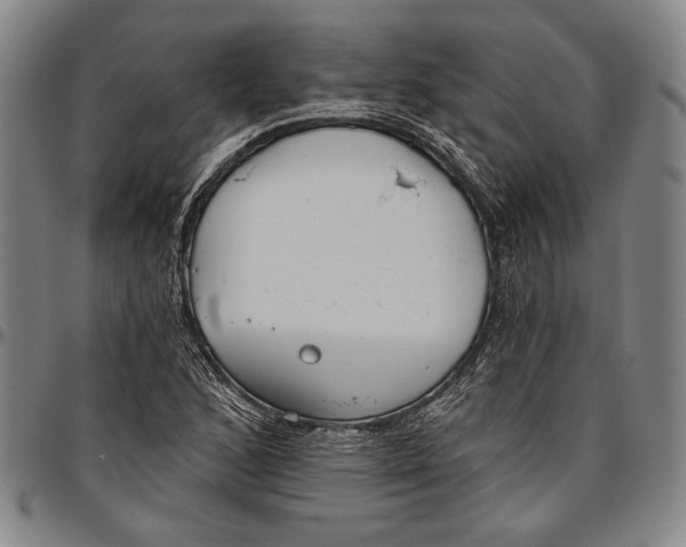 X0000096631168200802191149