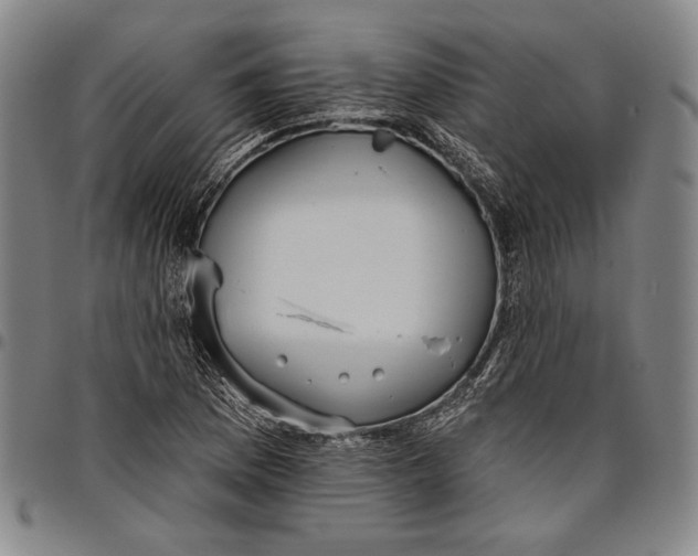 X0000096631169200802191149