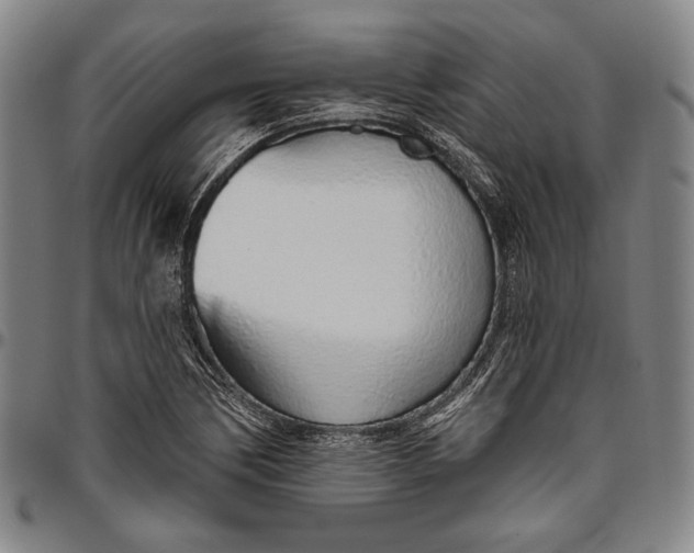 X0000096631170200802191149