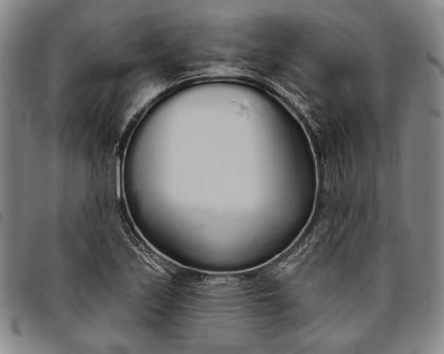 X0000096631171200802191149