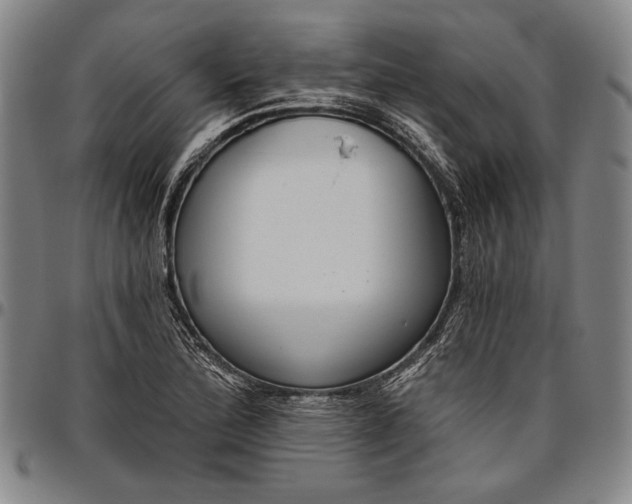 X0000096631172200802191149