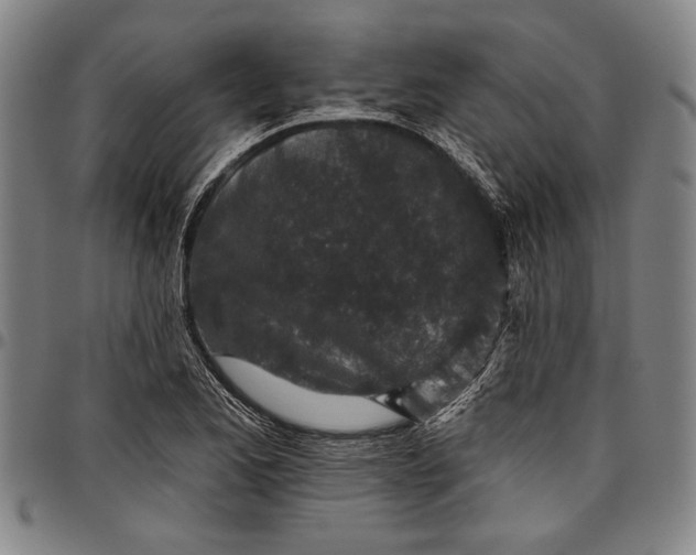 X0000096631173200802191149